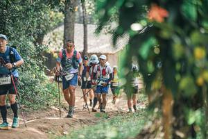 BIB: 
                            <button type="button" onclick="openModal(25276182)" class="btn btn-primary btn-sm float-right btn-popup" data-toggle="modal" data-target=".modal-high-quality">
                        <i class="fas fa-shopping-cart"></i> Add to Cart
                    </button>
                                            <button type="button" onclick="isThisMe(25276182, true)" class="btn btn-success btn-sm float-right btn-popup btn-isme hidden" data-toggle="tooltip" data-placement="bottom" title="นี่คือรูปของคุณใช่ไหม คลิกที่นี่เพื่อเอาเข้าอัลบั้ม">
                        <i class="fas fa-plus"></i> Add to album
                    </button>
                    <button type="button" onclick="isThisMe(25276182, false)" class="btn btn-warning btn-sm float-right btn-popup btn-isnotme hidden">
                        <i class="fas fa-ban"></i> Remove from album
                    </button>